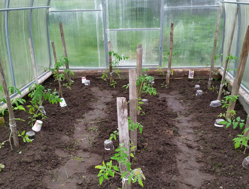 Подготовка грядок в теплице